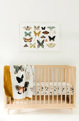 Clementine Kids Butterfly Collector Quilt